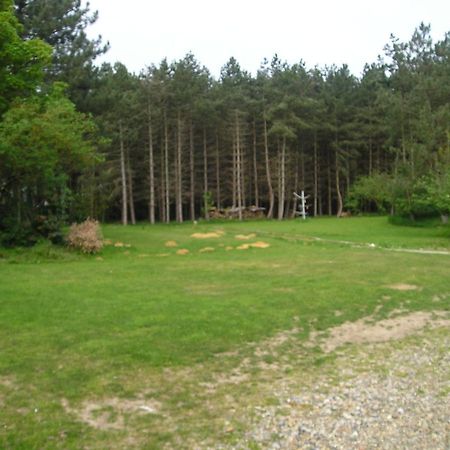 Felgate Cottage Thorpe Market Екстериор снимка