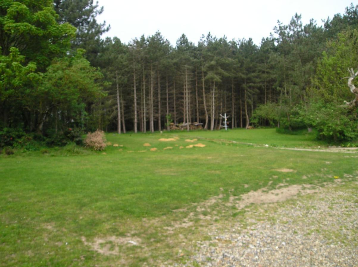 Felgate Cottage Thorpe Market Екстериор снимка